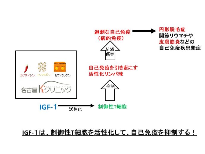 円形脱毛症　病院